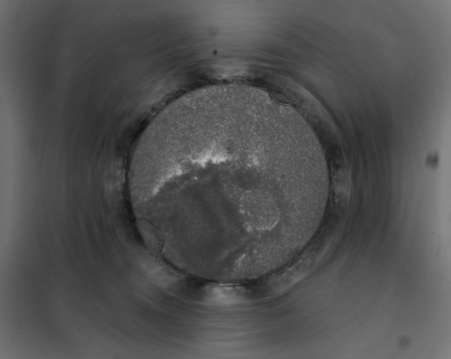 X0000101400372200807281008