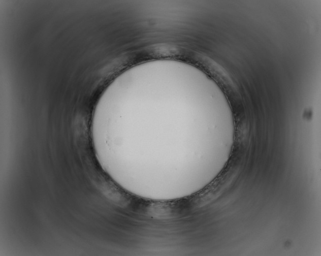 X0000101400373200807281008