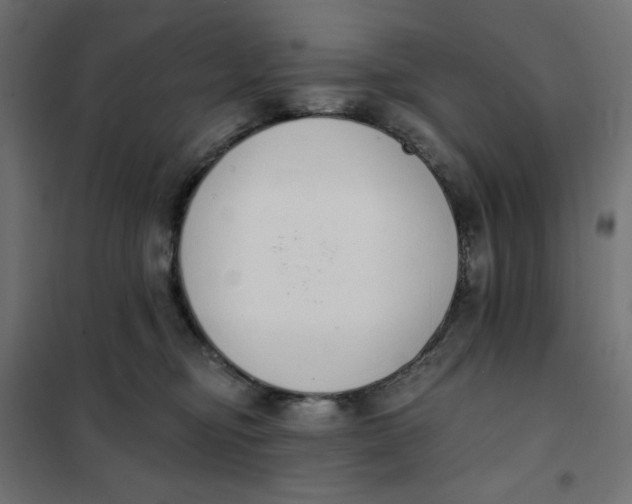 X0000101400374200807281008