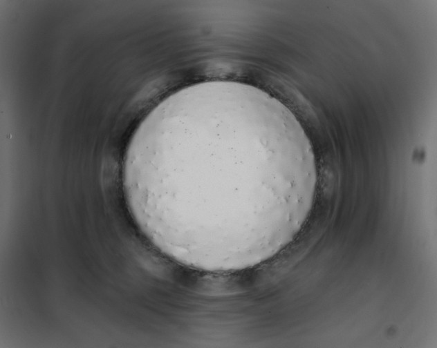 X0000101400375200807281008