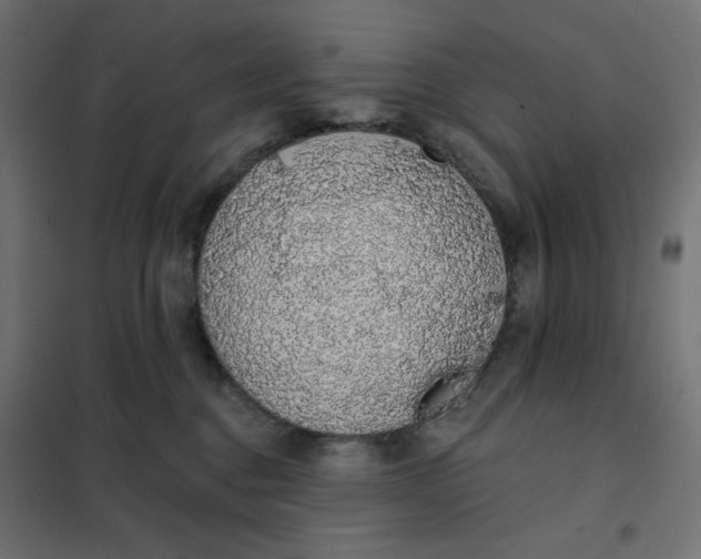 X0000101400376200807281008