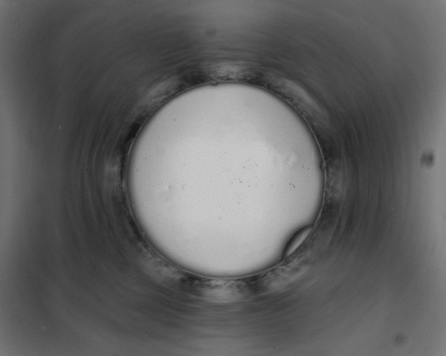 X0000101400377200807281008