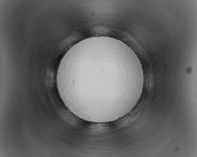 X0000101400378200807281008