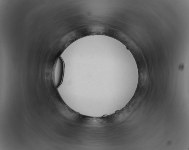 X0000101400379200807281008