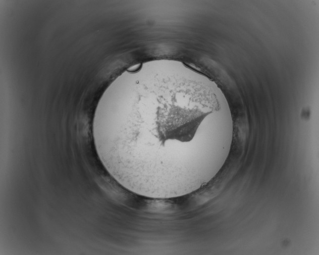 X0000101400380200807281008