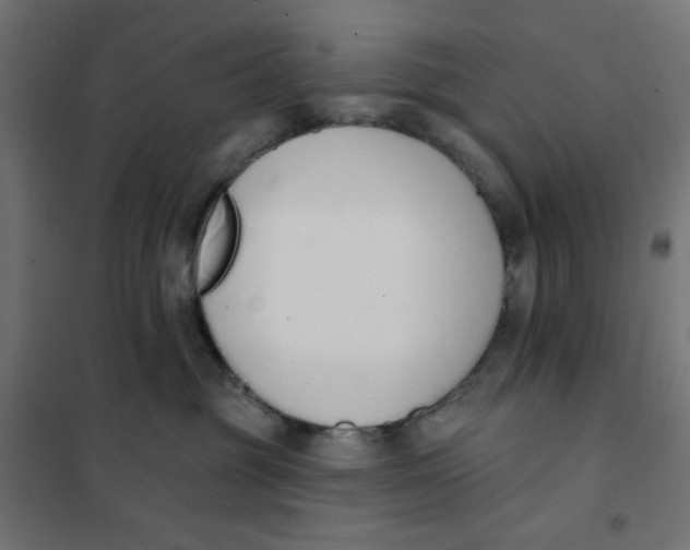 X0000101400381200807281008