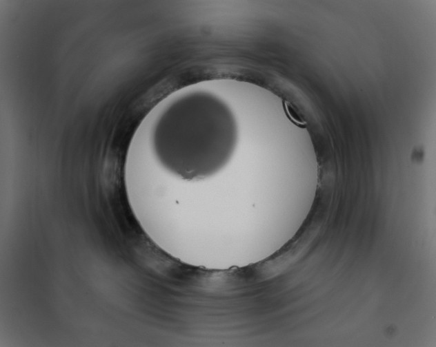 X0000101400382200807281008