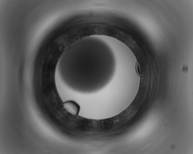 X0000101400383200807281008