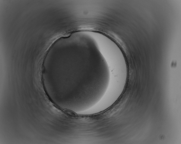 X0000101400385200807281007