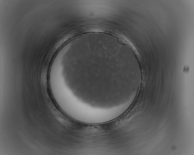 X0000101400386200807281007