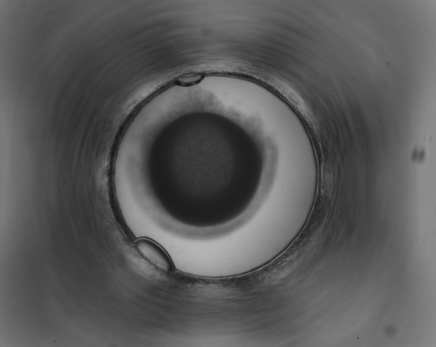 X0000101400389200807281007