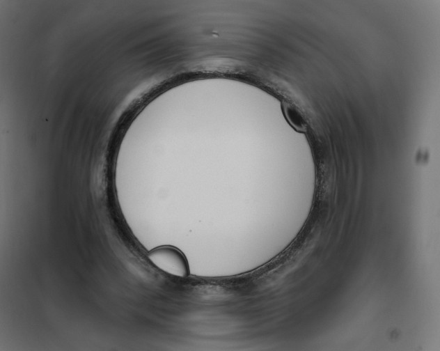 X0000101400392200807281007