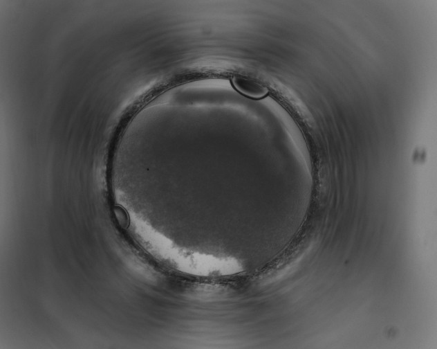 X0000101400399200807281007