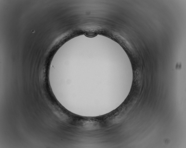 X0000101400400200807281007