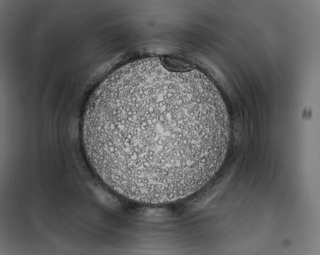 X0000101400401200807281007