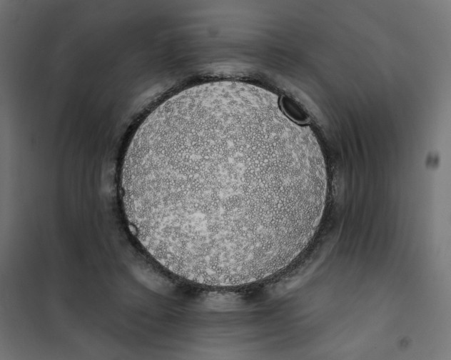 X0000101400403200807281007