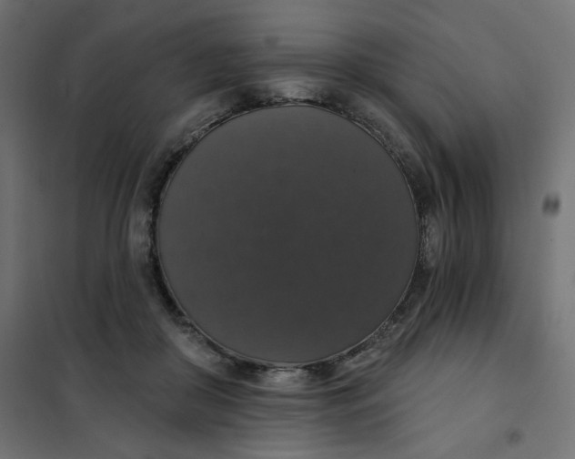 X0000101400410200807281007