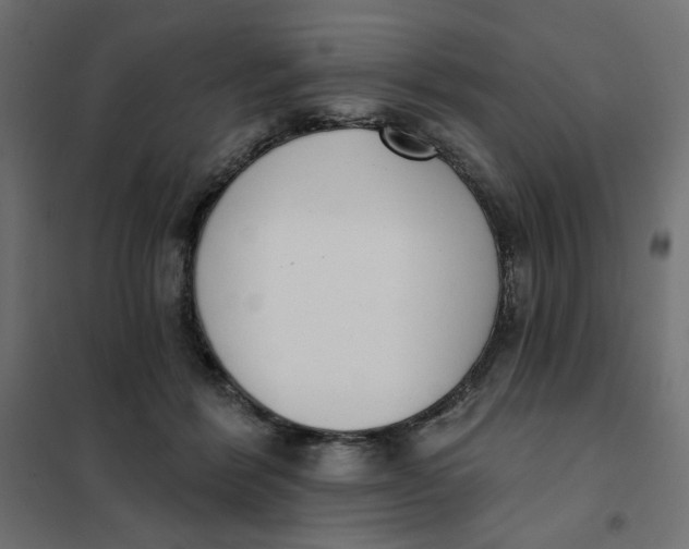 X0000101400412200807281007