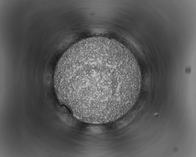 X0000101400417200807281007