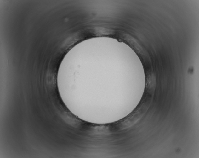 X0000101400426200807281007