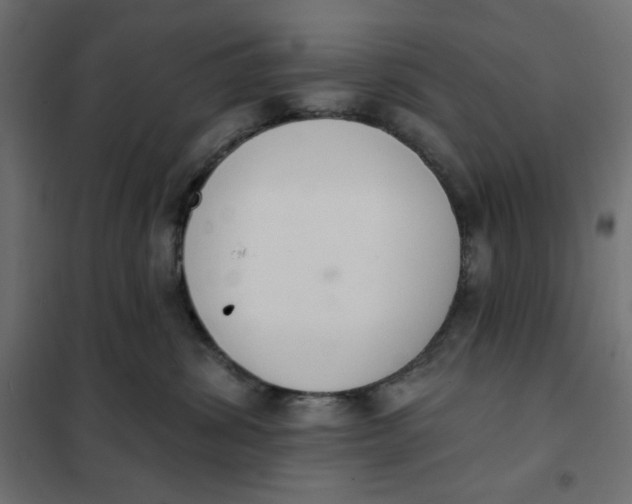 X0000101400428200807281007