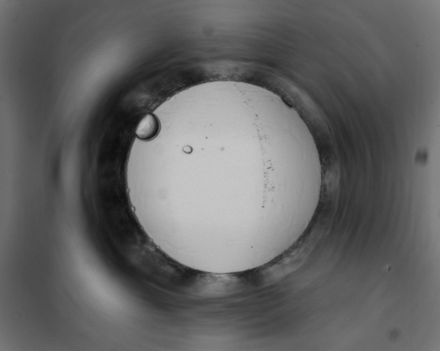 X0000101400429200807281007