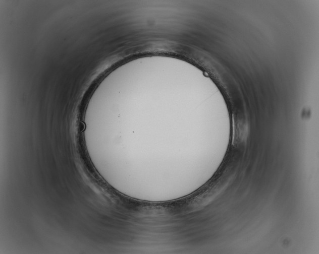 X0000101400435200807281006