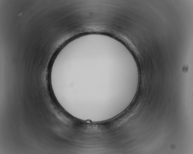 X0000101400439200807281006