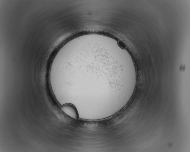 X0000101400440200807281006