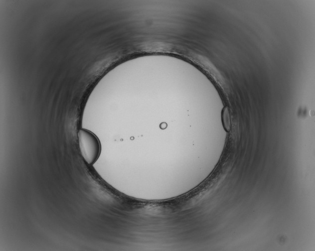 X0000101400441200807281006