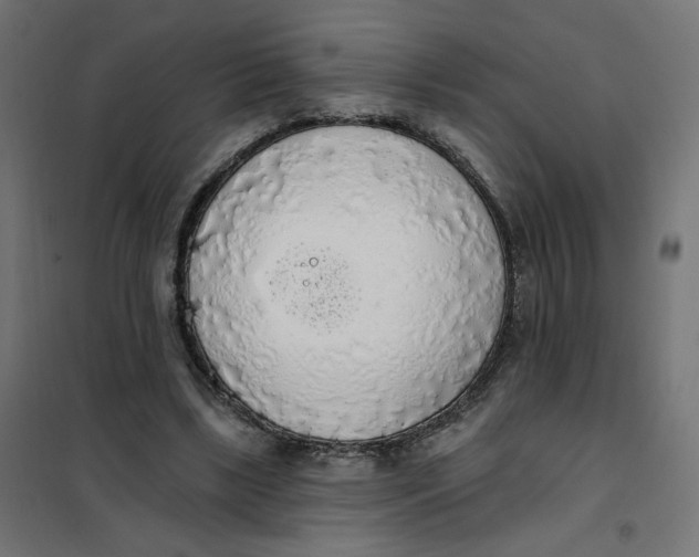 X0000101400443200807281006