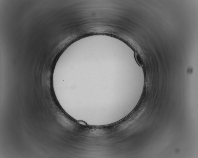 X0000101400445200807281006