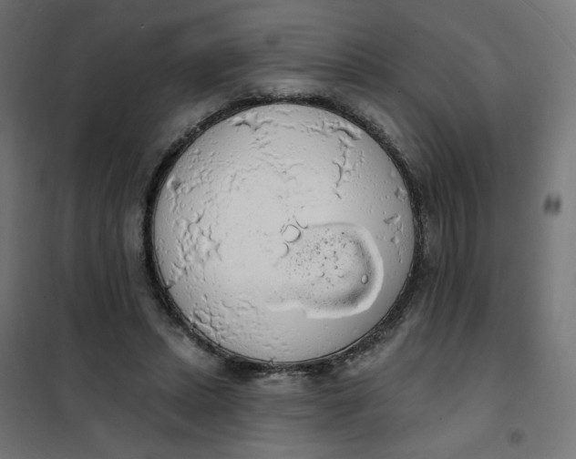 X0000101400447200807281006