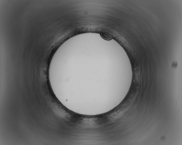 X0000101400450200807281006