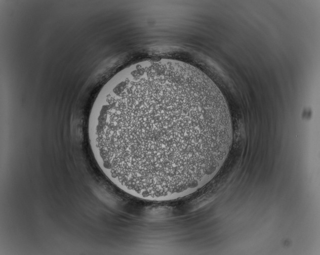 X0000101400452200807281006