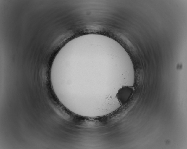 X0000101400455200807281006