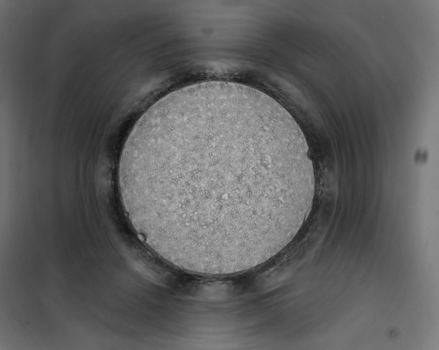 X0000101400456200807281006