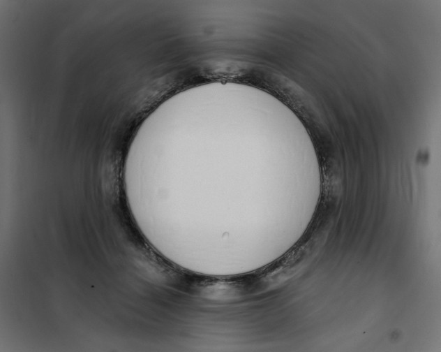 X0000101400460200807281006