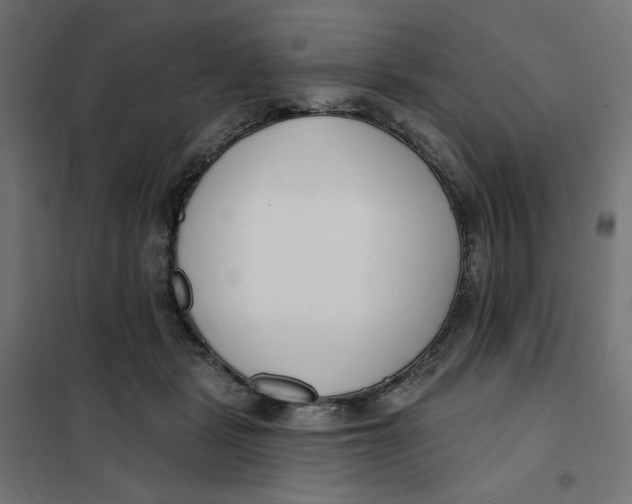 X0000101400461200807281006