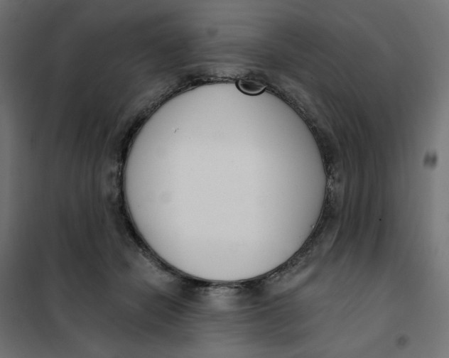 X0000101400462200807281006