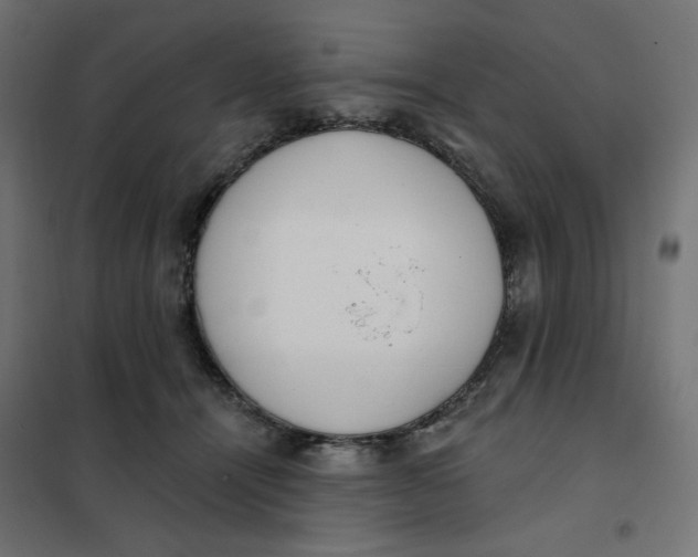 X0000101400464200807281006