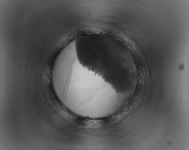 X0000101400465200807281006