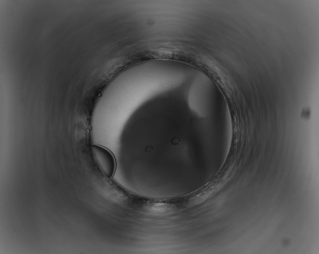 X0000101400467200807281006