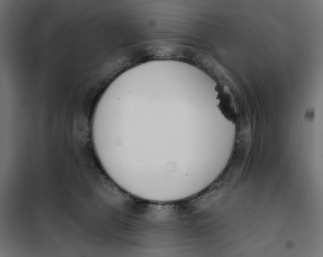 X0000101400469200807281006