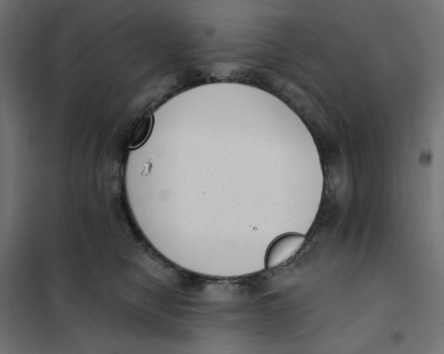 X0000101400470200807281006