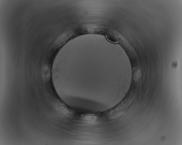 X0000101400471200807281006