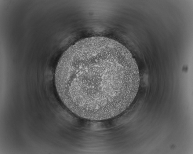 X0000101400472200807281006