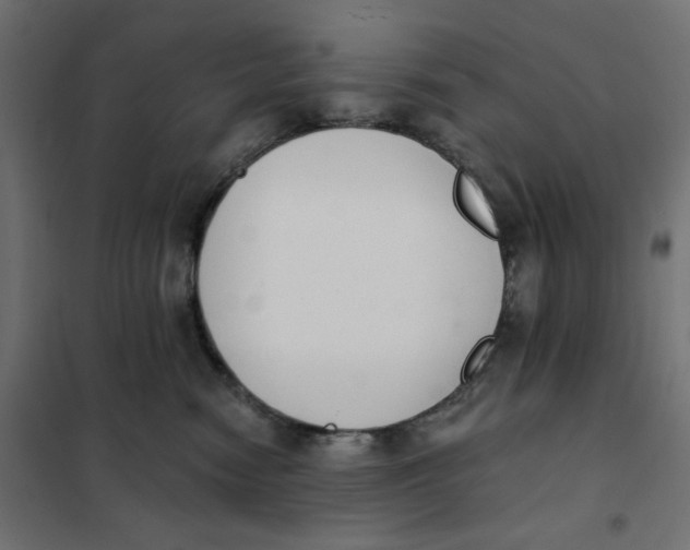 X0000101400474200807281006