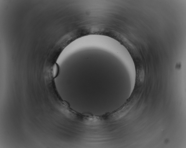 X0000101400475200807281006