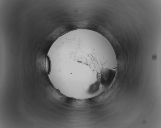 X0000101400479200807281007